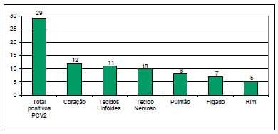 Causas infecciosas de problemas reprodutivos na produção de suínos - Image 4