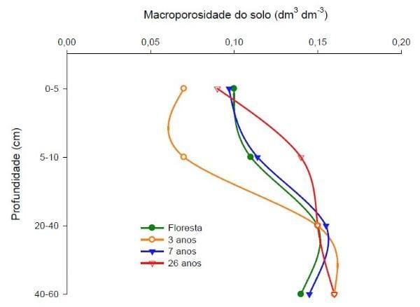 Aplicações de dejetos de suínos e as propriedades do solo - Image 8