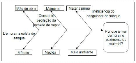Aplicação do ciclo PDCA (PLAN, DO, CHECK, ACTION) no rendimento de farinha de sangue em uma indústria frigorífica - Image 6