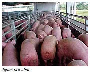 Recomendações técnicas para o manejo pré-abate e qualidade de carne - Image 1