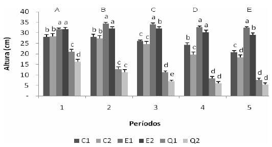 Altura do dossel, massa e composição morfológica da forragem de plantas forrageiras pastejadas por frangos - Image 1