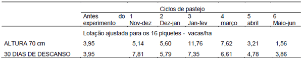 Pastejo rotacionado de capim-tanzânia para vacas leiteiras - Image 3