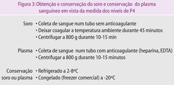 Cio de Lactação em porcas: mito ou realidade. - Image 14
