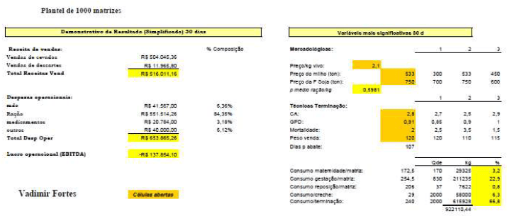 Metas: Problemas produtivos e de gestão que mais afetam os resultados. - Image 1