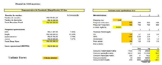 Metas: Problemas produtivos e de gestão que mais afetam os resultados. - Image 7