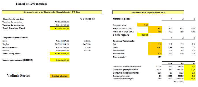 Metas: Problemas produtivos e de gestão que mais afetam os resultados. - Image 5