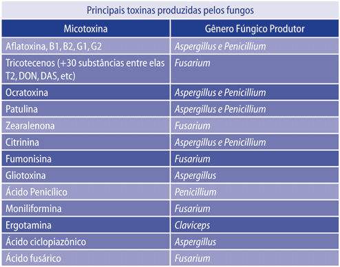 Interação entre sistema imunológico do suíno e micotoxicose - Image 3