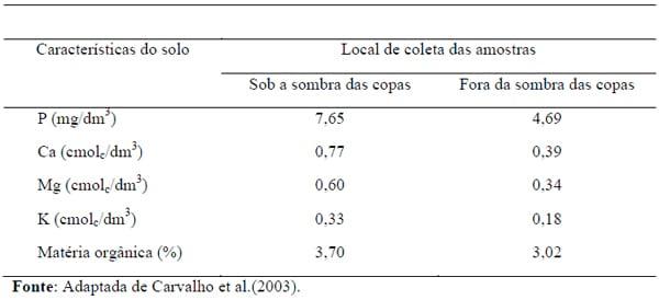 Sistemas agrossilvipastoris como alternativa para produção de ruminantes - Image 2