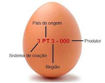 Prós e Contras da Proibição da Criação de Poedeiras em Gaiolas - Image 2