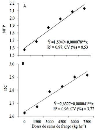 Características estruturais da aveia preta comum sob doses crescentes de cama de frango - Image 2