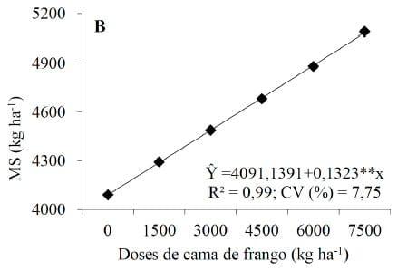 Características produtivas e nutricionais da aveia preta sob doses crescentes de cama de frango - Image 3