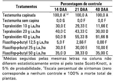 Integração lavoura-pecuária: a cultura do girassol consorciada com Brachiaria ruziziensis - Image 9