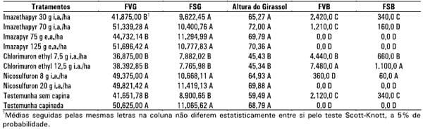 Integração lavoura-pecuária: a cultura do girassol consorciada com Brachiaria ruziziensis - Image 12
