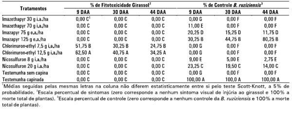 Integração lavoura-pecuária: a cultura do girassol consorciada com Brachiaria ruziziensis - Image 11