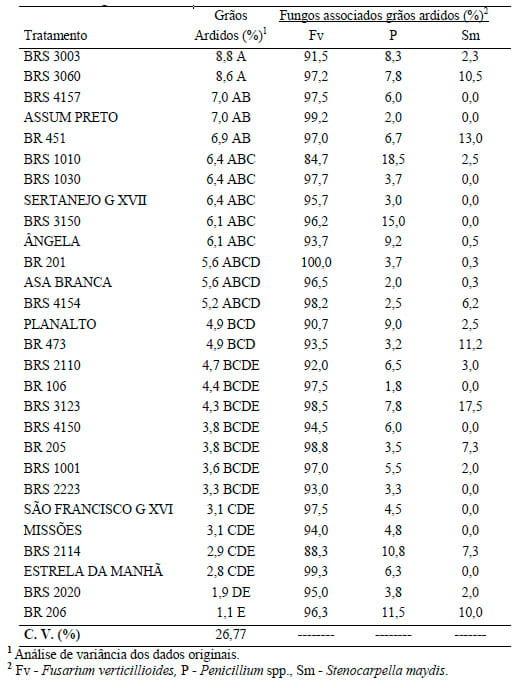Reação de cultivares em relação à produção de grãos ardidos em milho - Image 1