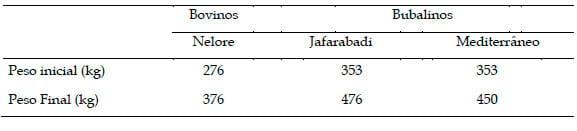 Desempenho de bovinos Nelore e Bubalinos das raças Mediterrânea e Jafarabadi terminados em confinamento - Image 4