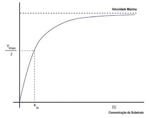 Fitase e suas implicações na digestão e absorção de nutrientes - Image 7