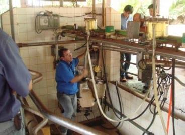 TRANSFERÊNCIA E GERAÇÃO DE TECNOLOGIA COM FOCO NA QUALIDADE DO LEITE - Image 3