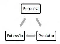 TRANSFERÊNCIA E GERAÇÃO DE TECNOLOGIA COM FOCO NA QUALIDADE DO LEITE - Image 1