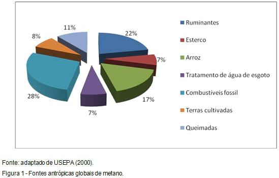 Impactos Ambientais da Pecuária de Leite - Image 1