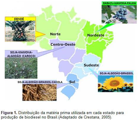 Utilização de co-produtos de biodiesel para alimentação de ruminantes - Image 1