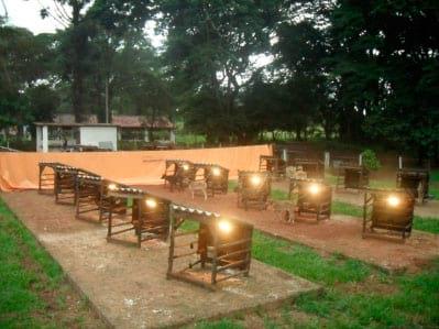 Programa de suplementação de luz artificial para bezerros em aleitamento - Image 1
