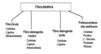 Fibra na alimentação de suínos - Image 1