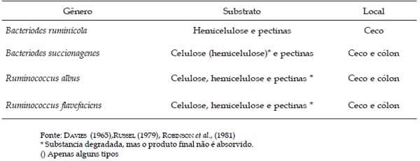 Fibra na alimentação de suínos - Image 4