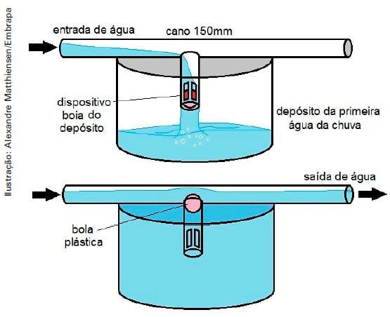 Aproveitamento da água da chuva na produção de suínos e aves - Image 12