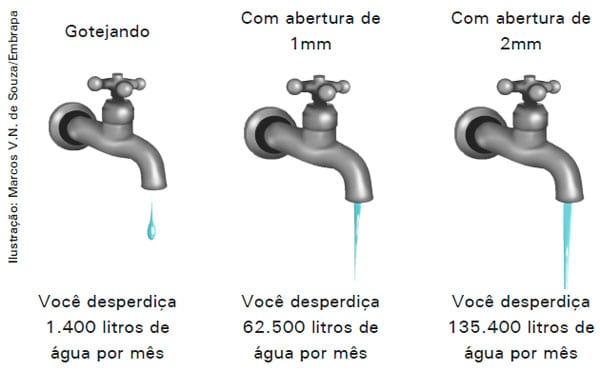 Aproveitamento da água da chuva na produção de suínos e aves - Image 19