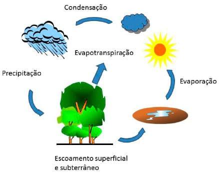 Aproveitamento da água da chuva na produção de suínos e aves - Image 1