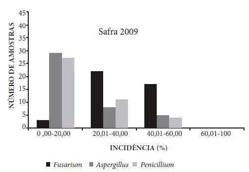 Ocorrência de fungos e aflatoxinas em grãos de milho - Image 1