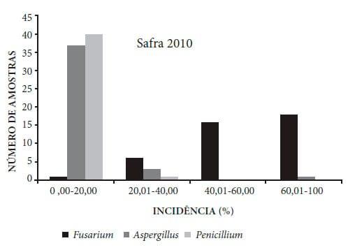 Ocorrência de fungos e aflatoxinas em grãos de milho - Image 2