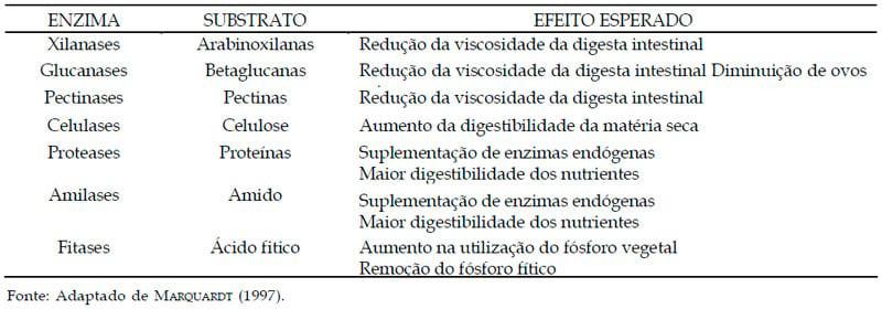 Uso de enzimas exógenas na avicultura: uma visão crítica - Image 2