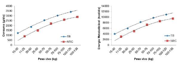 Comparação das exigências nutricionais para suínos machos castrados recomendadas pelas Tabelas Brasileiras (2011) e pelo NRC (2012) - Image 2