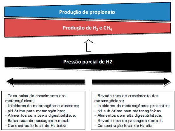 Emissões de metano na pecuária: conceitos, métodos de avaliação e estratégias de mitigação. Parte II - Image 1