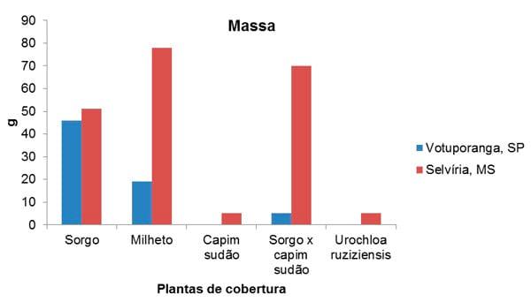 Plantas de cobertura no controle de plantas daninhas - Image 2