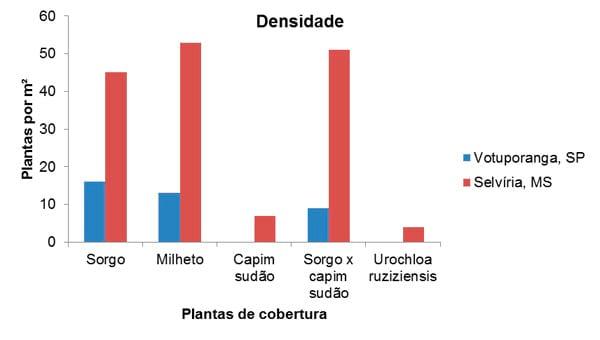 Plantas de cobertura no controle de plantas daninhas - Image 3