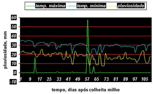 Consórcio milho – cana-de-açúcar: alternativa para a produção de forragem e cobertura de solo no outono-inverno, na região oeste do Estado de São Paulo - Image 14