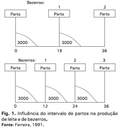 Medidas de eficiência da atividade leiteira: índices zootécnicos para rebanhos leiteiros - Image 4