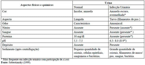 Infecção urinária em fêmeas suínas em produção - Image 1