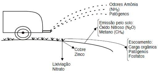 Sustentabilidade ambiental da suinocultura - Image 1