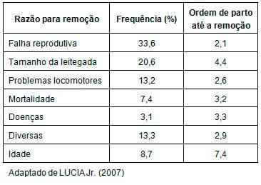 Problemas locomotores e o impacto sobre a longevidade da fêmea - Image 2