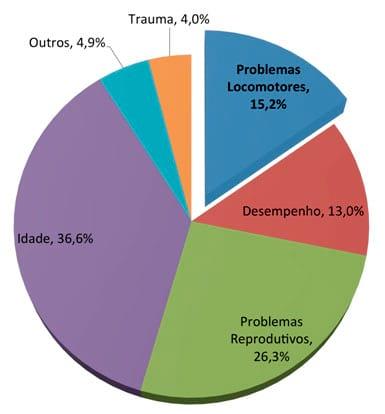 Problemas locomotores e o impacto sobre a longevidade da fêmea - Image 3
