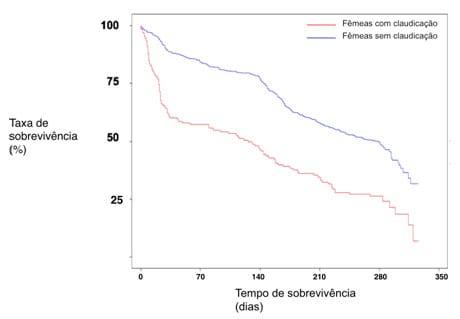 Problemas locomotores e o impacto sobre a longevidade da fêmea - Image 5
