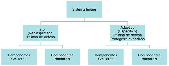 Imunidade dos leitões recém-nascidos, interações com MOS e Imunoglobulinas do ovo ( IgY) - Image 1