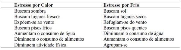 Aplicação dos conceitos de calorimetria na produção de frangos de corte - Image 4