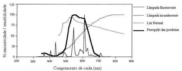 Visão e iluminação na avicultura moderna - Image 5