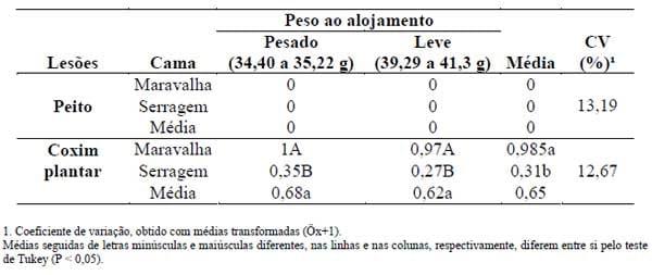 Tipos de cama e pesos ao alojamento avaliados com auxílio da metodologia Gait Score - Image 1