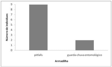 Diversidade de Coleoptera em diferentes ambientes de uma área rural em Concórdia - Image 2
